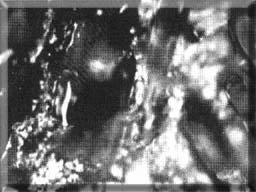Tap Water (un)structured