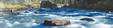 Water Pollution Filters