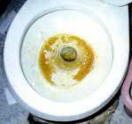Stained toilet before Magnetizers