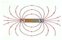 Magnets and the Body