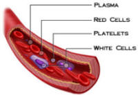 Magnets and Blood